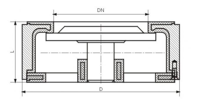 PFA Lined Spring Loaded Poppet Check Valve For Non - Return Function 0