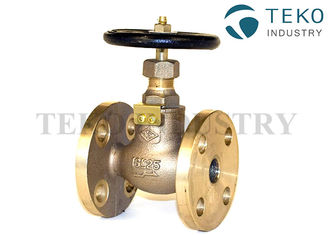 Flanged End Marine Bronze Globe Valve For Water Purifier JIS F7409