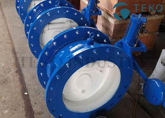 Quick Closing Silent Tilted Swing Check Valve Ductile Iron Body With Counterweight Hydraulic Damper