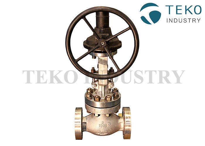 Class 150 SS BS 1873 Globe Valve Flange Connection Bolted Bonnet Metal Seated Worm Gear Operated