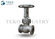 Flanged End Cast Steel Globe Valve Plug Disc 50 mm To 600 mm For WOG Applications