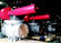Worm Gear Operation Top Entry Flanged Ball Valve With Easy Maintenance