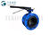 Cast Iron Butterfly JIS Marine Valve Double Flange Lock