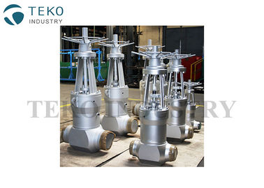 Fully Open / Close High Temperature Gate Valves With Flange End Butt Weld End